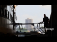 Ferries Circular Quay 3 2494